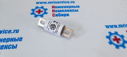 SEMICONDUCTOR FWH-300A ( Предохранител FWH-300A)